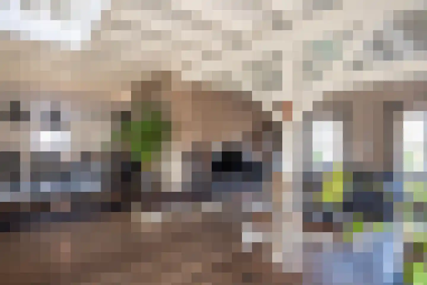 De Veenhuis 4 Nijkerk thumbnail 21