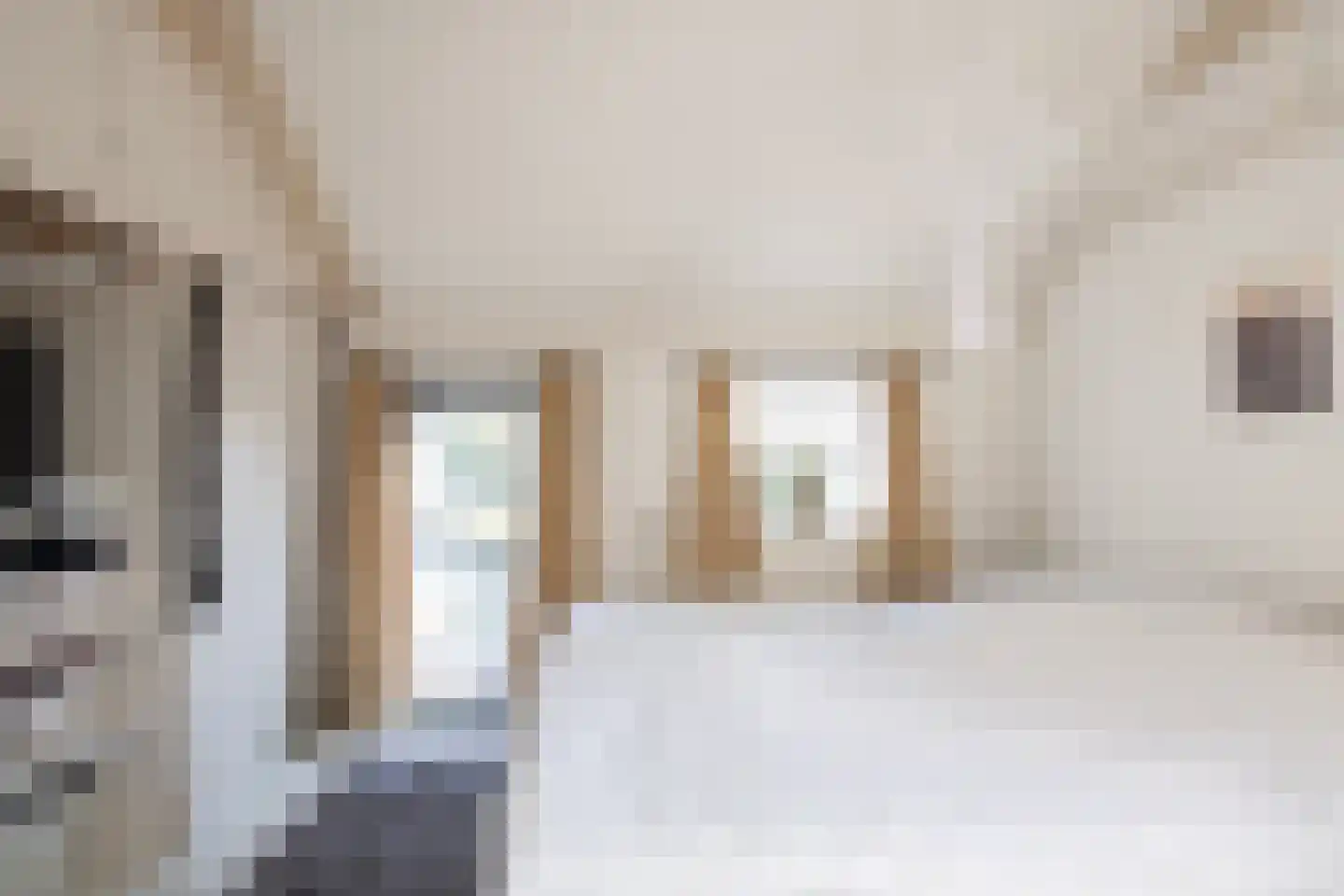 De Veenhuis 4 Nijkerk thumbnail 27