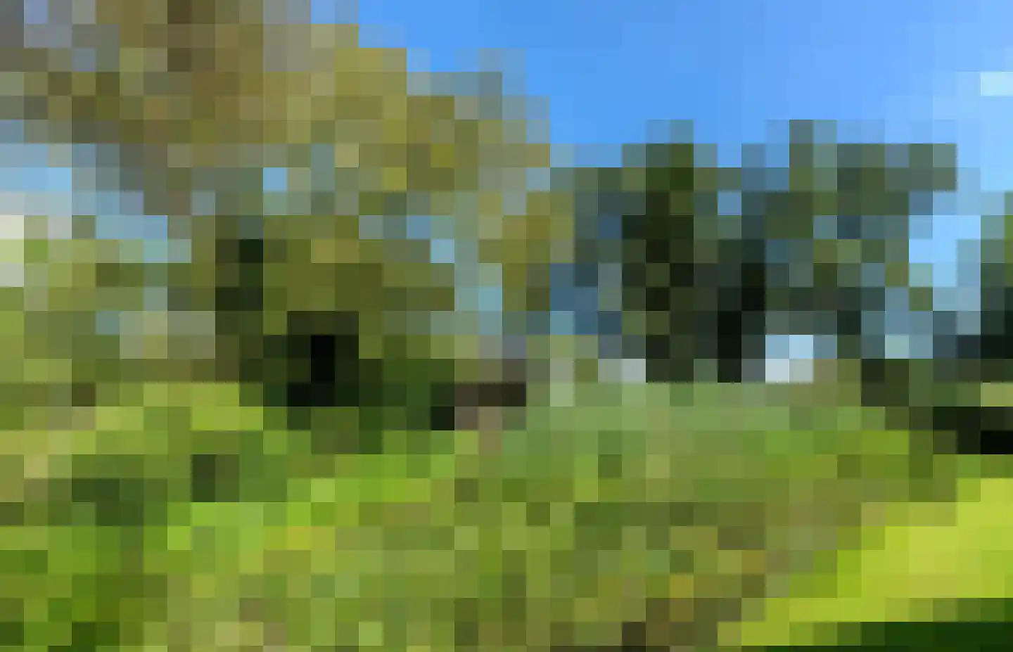 De Veenhuis 4 Nijkerk thumbnail 45
