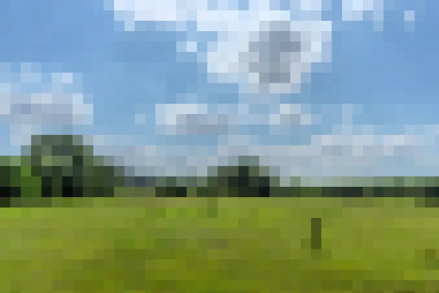 De Veenhuis 4 Nijkerk thumbnail 47