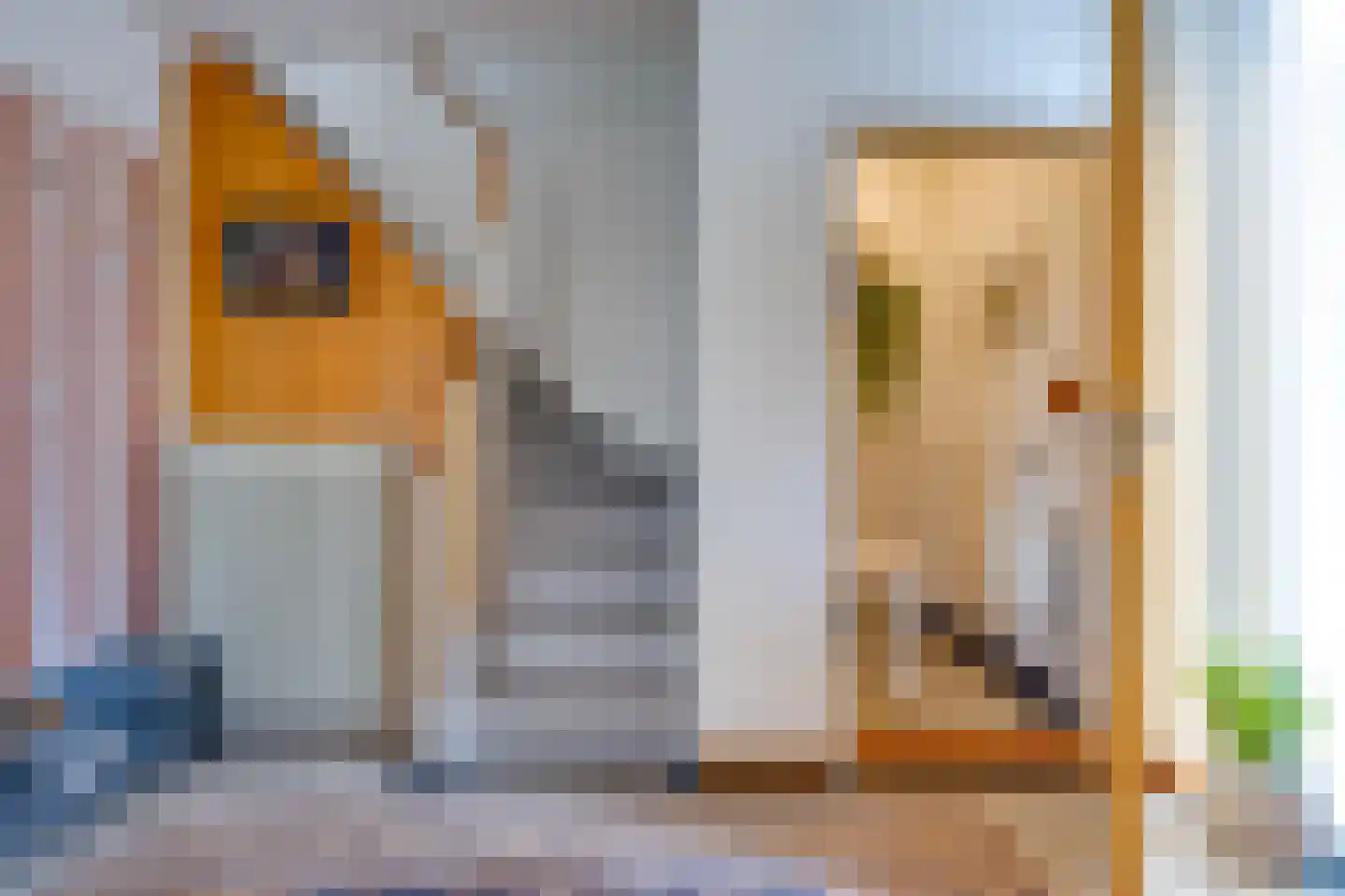 De Veenkampen 45 Emmen thumbnail 20