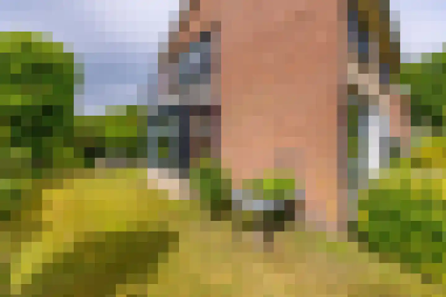 De Veenkampen 45 Emmen thumbnail 33