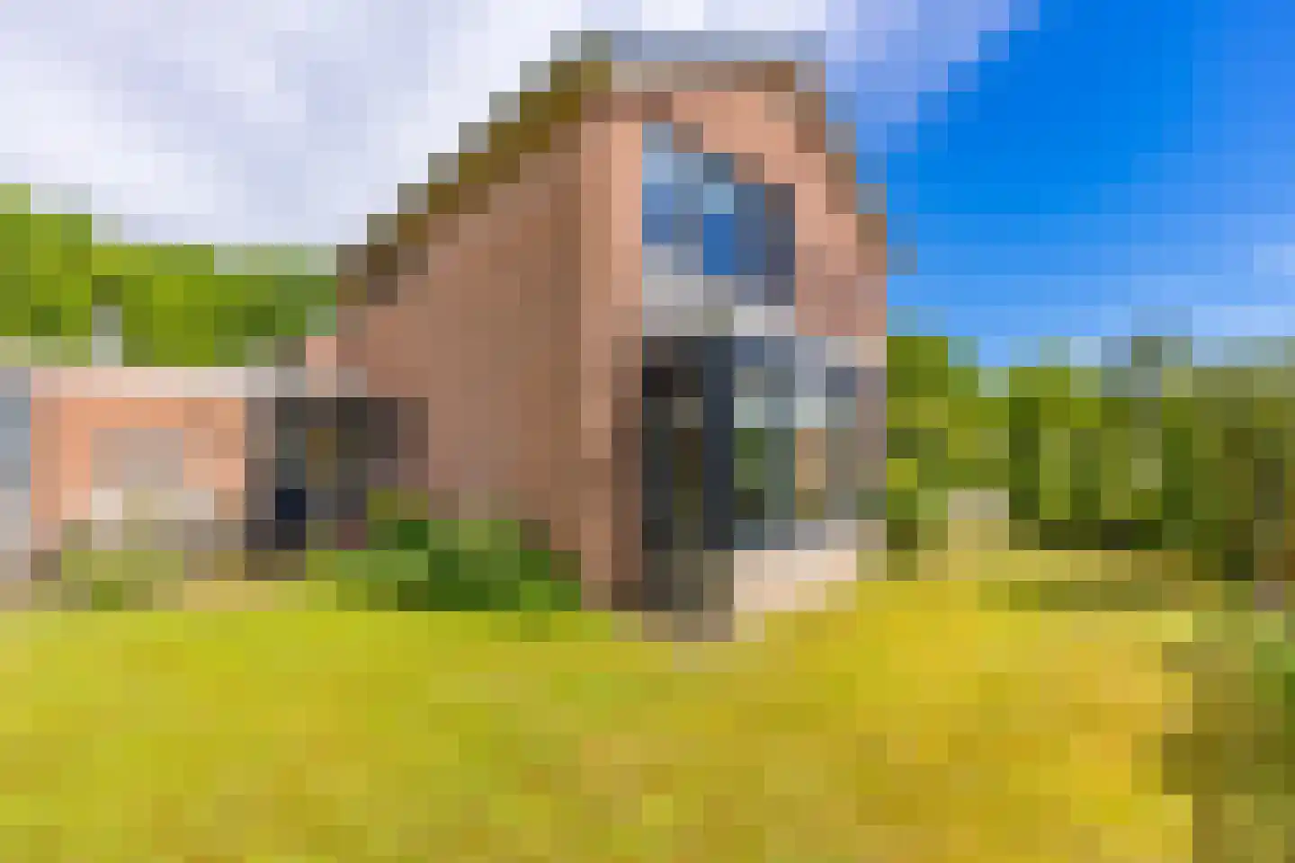 De Veenkampen 45 Emmen thumbnail 34