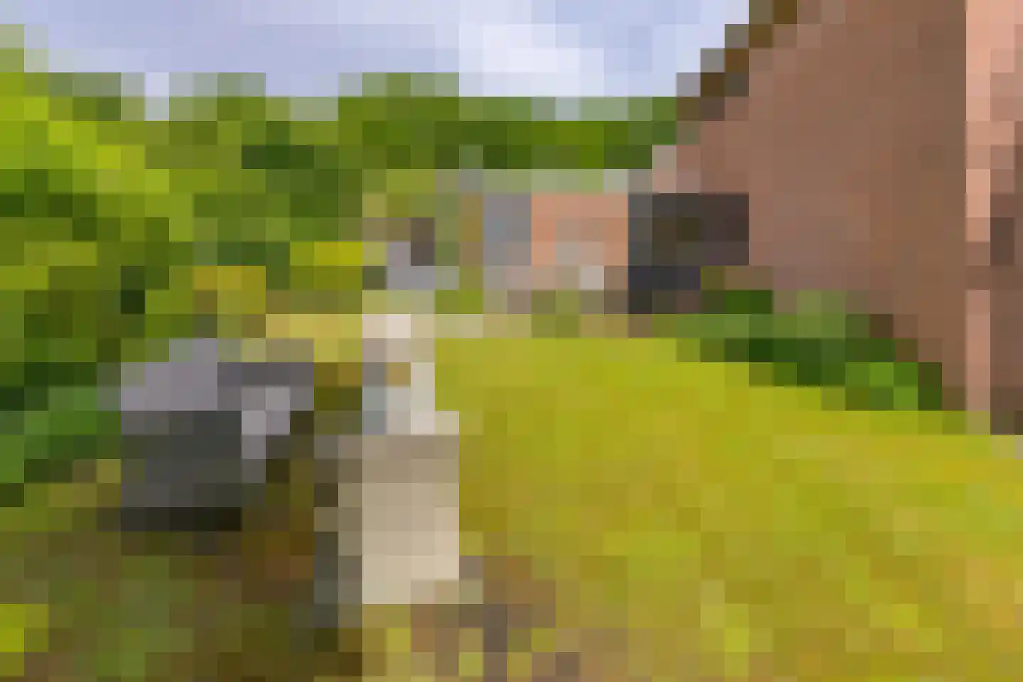 De Veenkampen 45 Emmen thumbnail 35