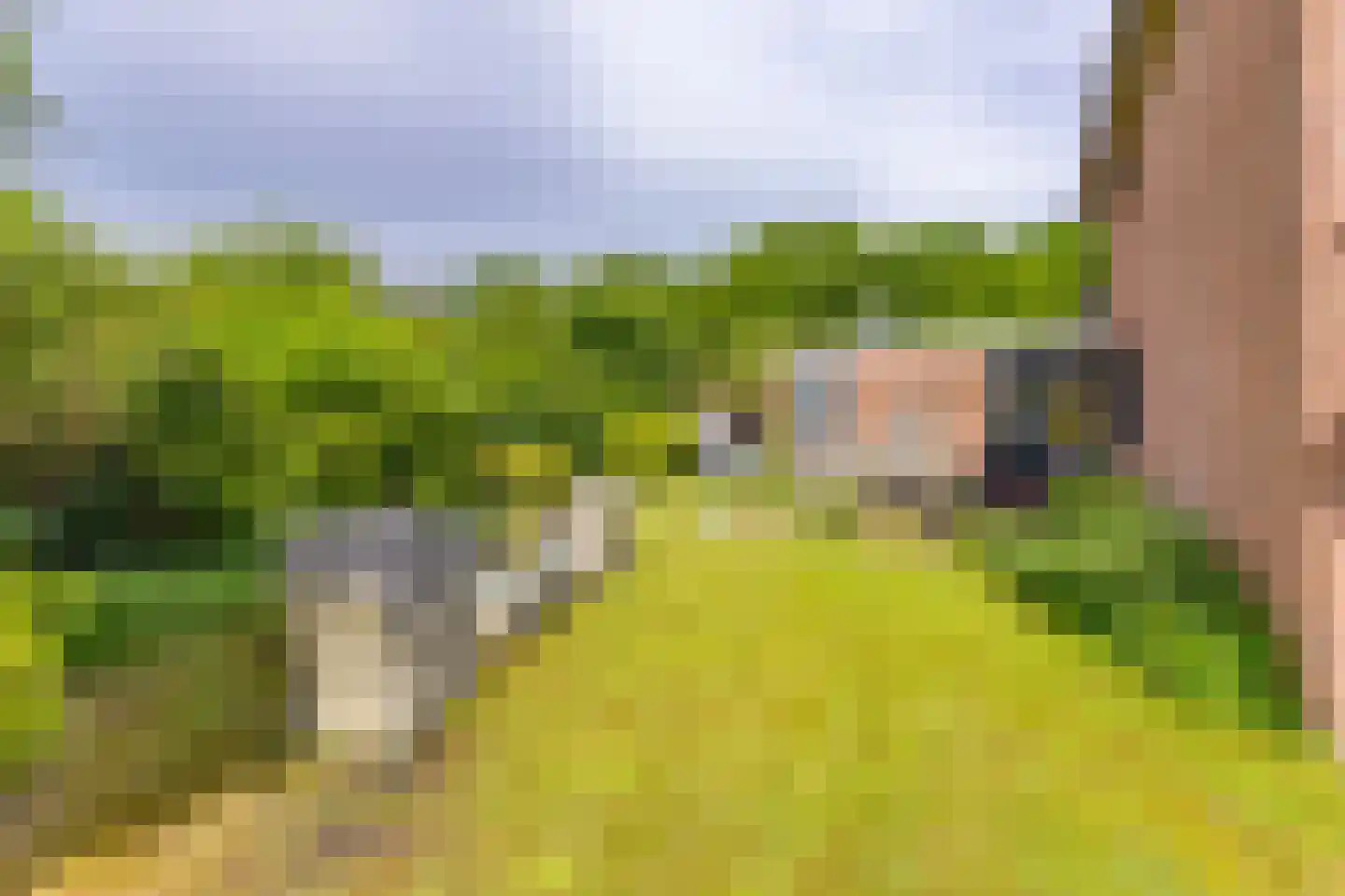 De Veenkampen 45 Emmen thumbnail 36