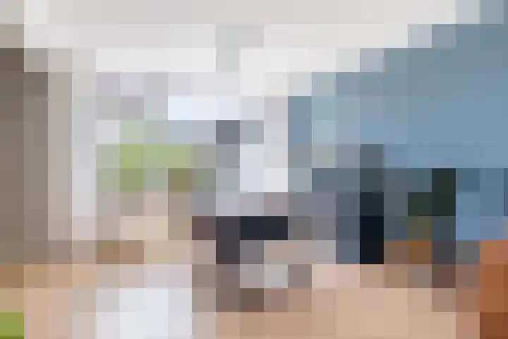 De Veenscheiding 17 Echtenerbrug thumbnail 15
