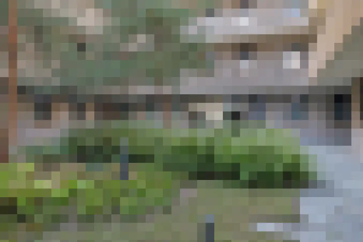 de Veentjes 111 Doetinchem thumbnail 13