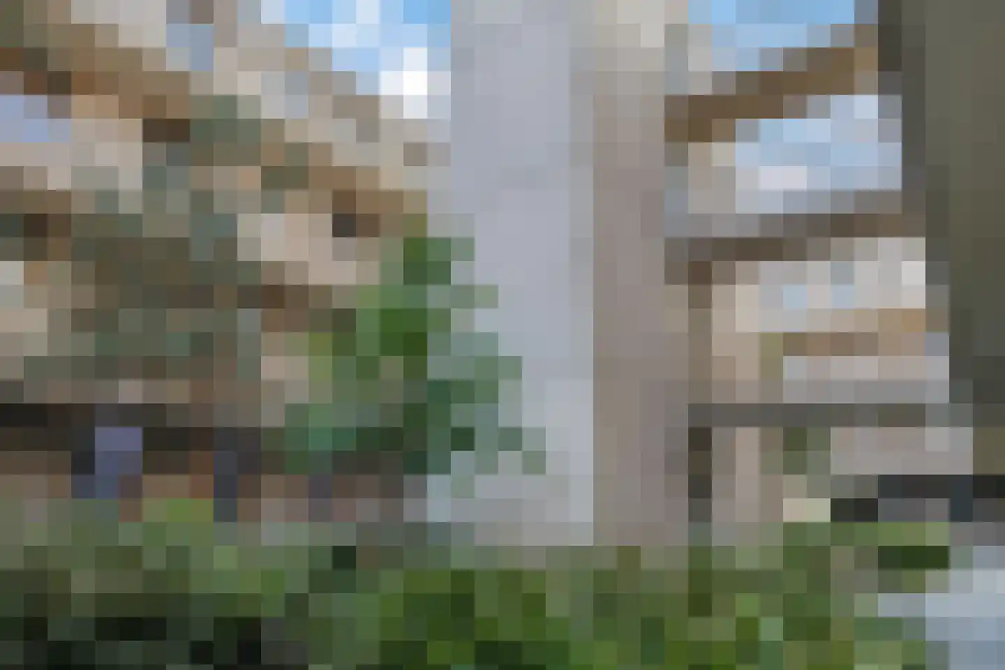de Veentjes 111 Doetinchem thumbnail 14