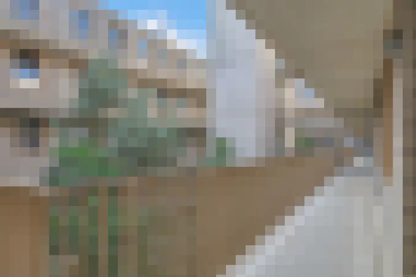 de Veentjes 111 Doetinchem thumbnail 17
