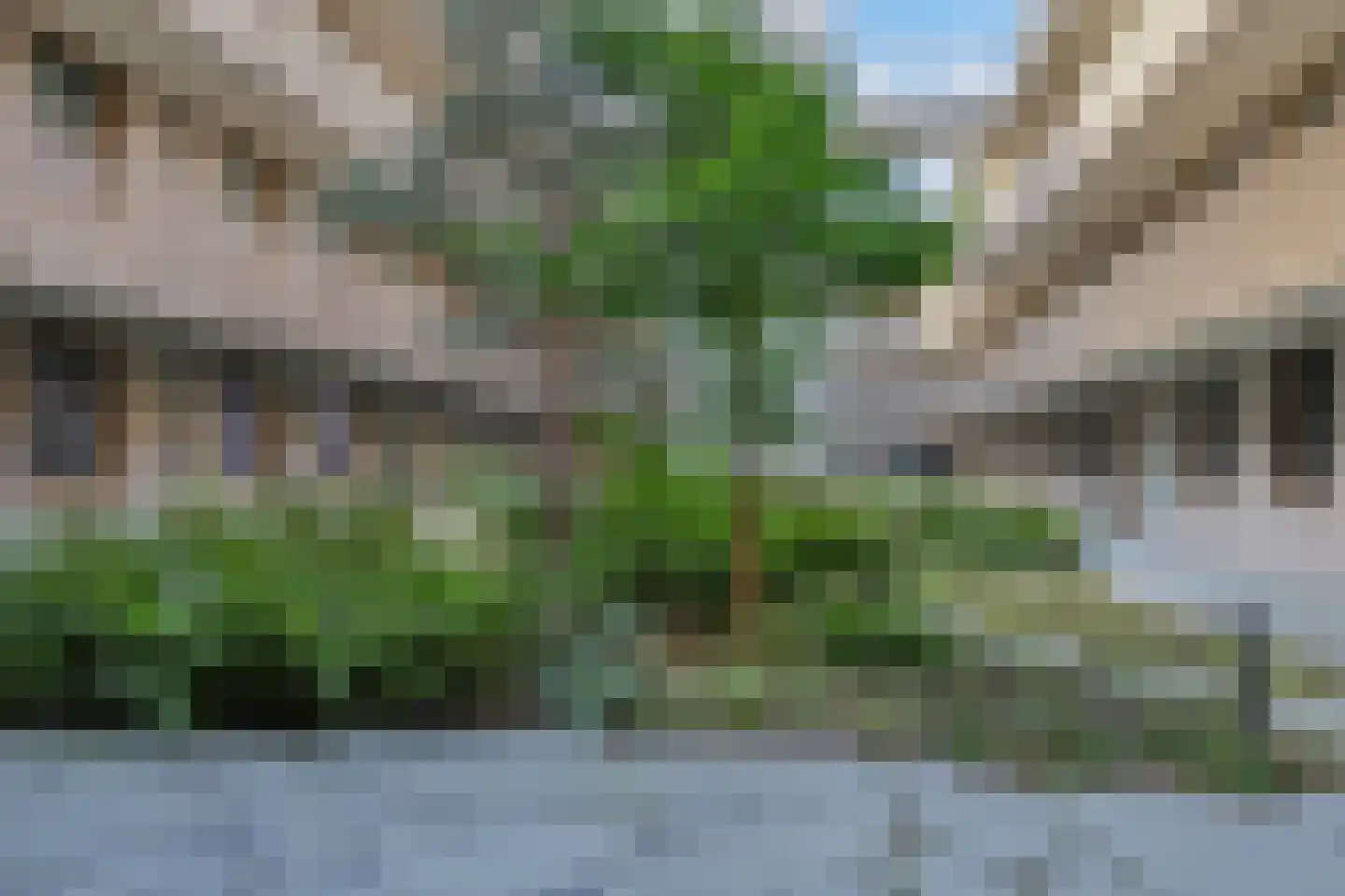 de Veentjes 111 Doetinchem thumbnail 9