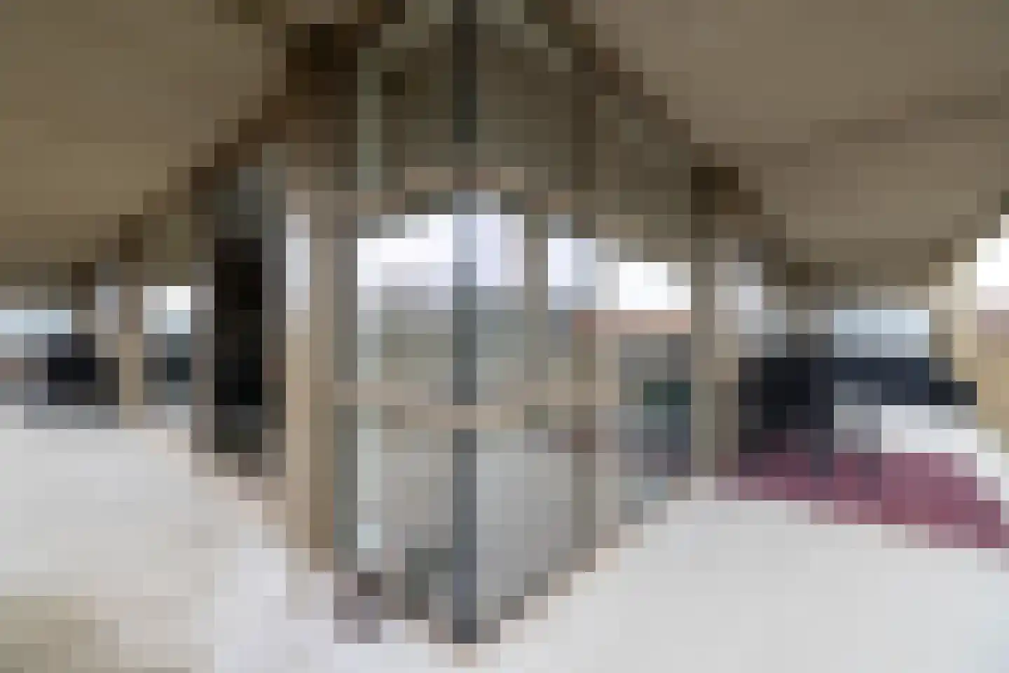 de Veentjes 137 Doetinchem thumbnail 12