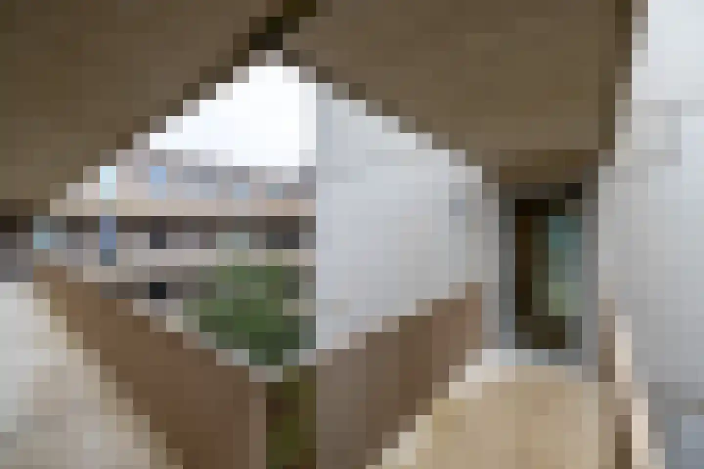 de Veentjes 137 Doetinchem thumbnail 28