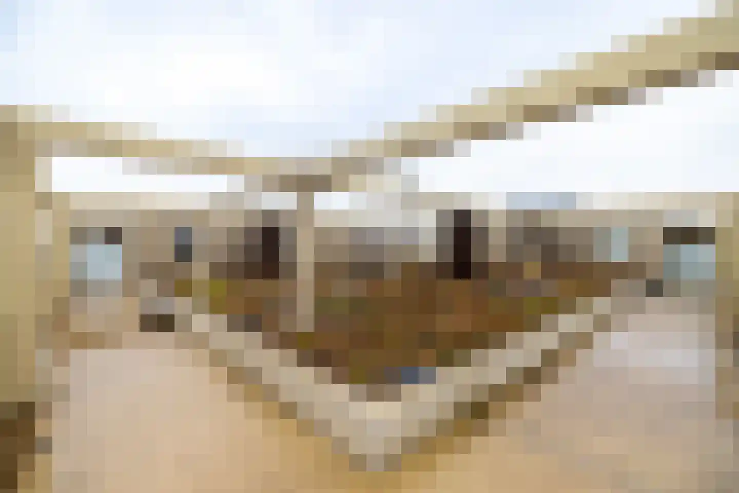 de Veentjes 137 Doetinchem thumbnail 30