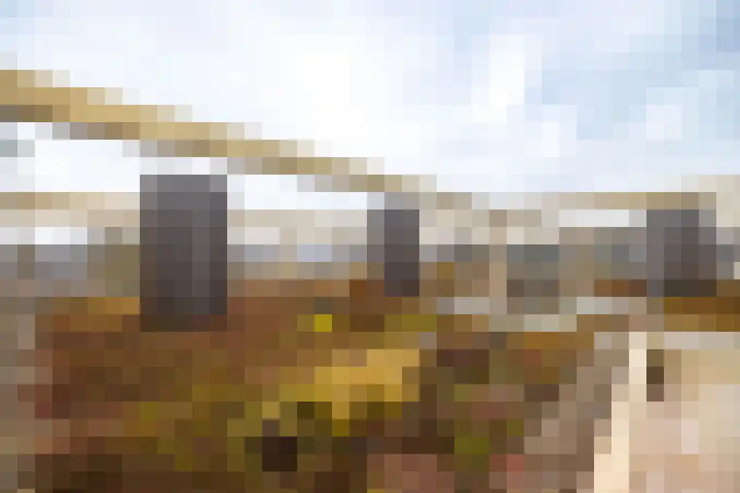 de Veentjes 137 Doetinchem thumbnail 31