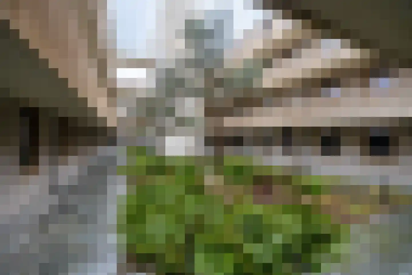 de Veentjes 137 Doetinchem thumbnail 32