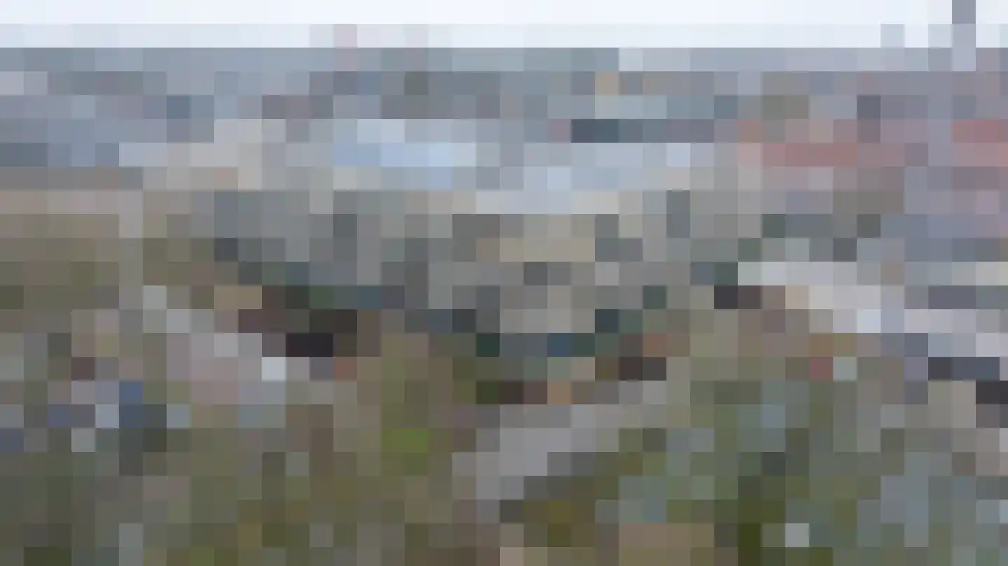 de Veentjes 137 Doetinchem thumbnail 38
