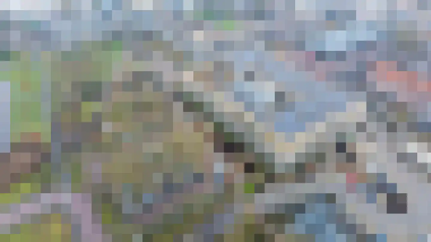 de Veentjes 137 Doetinchem thumbnail 39