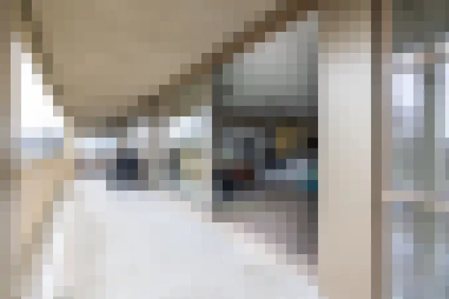 de Veentjes 137 Doetinchem thumbnail 8