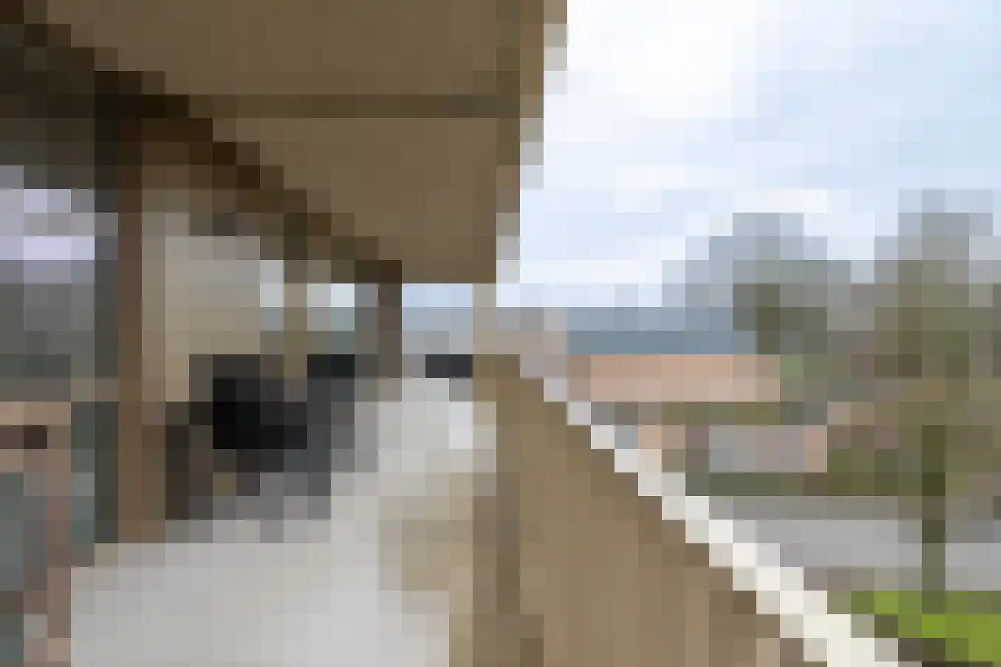 de Veentjes 137 Doetinchem thumbnail 9
