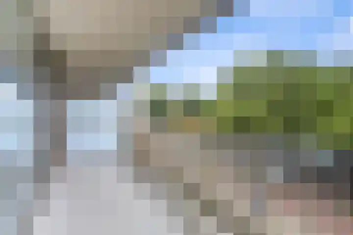 de Veentjes 141 Doetinchem thumbnail 24