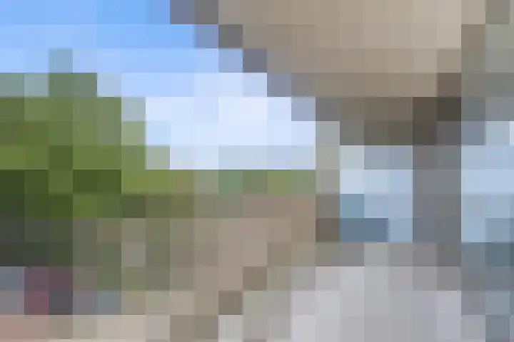de Veentjes 141 Doetinchem thumbnail 25