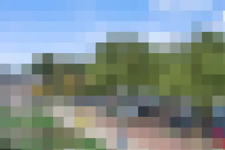 de Veentjes 141 Doetinchem thumbnail 26