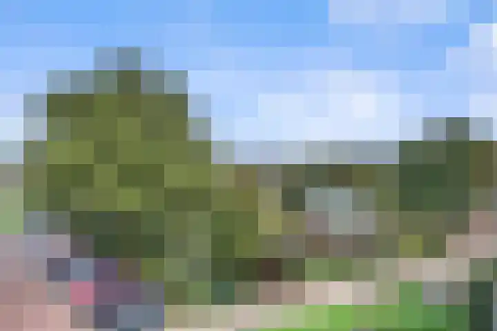 de Veentjes 141 Doetinchem thumbnail 27