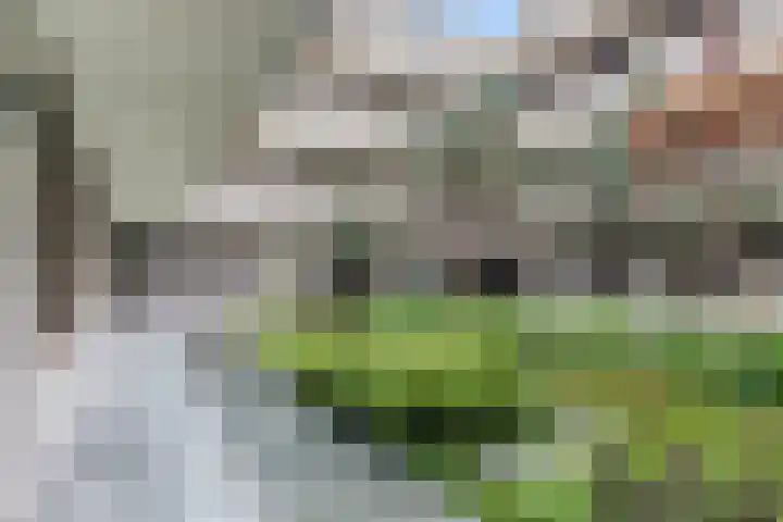 de Veentjes 141 Doetinchem thumbnail 28