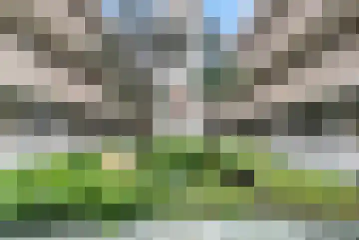 de Veentjes 141 Doetinchem thumbnail 29