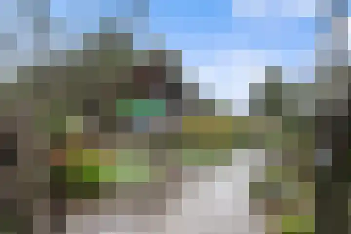 de Veentjes 141 Doetinchem thumbnail 30