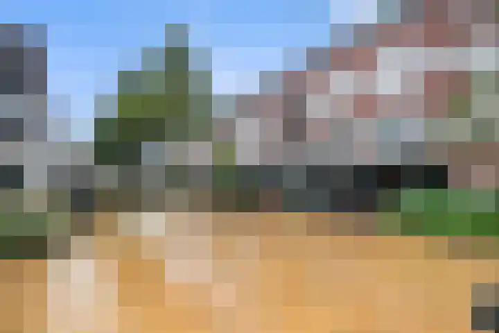 de Veentjes 141 Doetinchem thumbnail 31