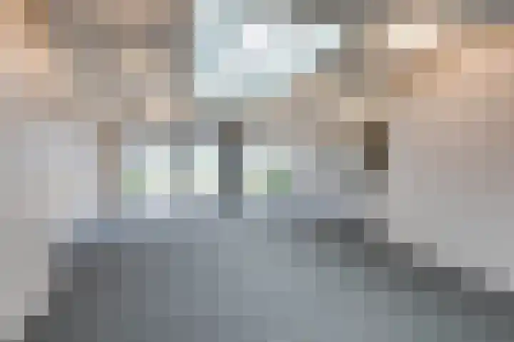 de Veentjes 15 D Doetinchem thumbnail 11