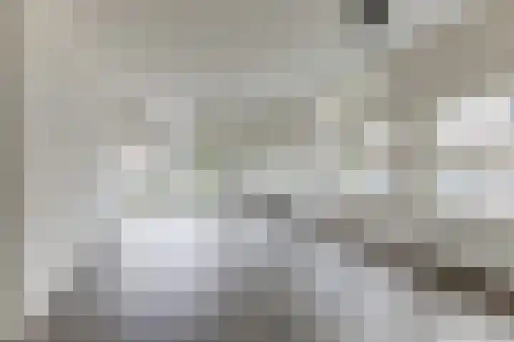 de Veentjes 15 D Doetinchem thumbnail 20