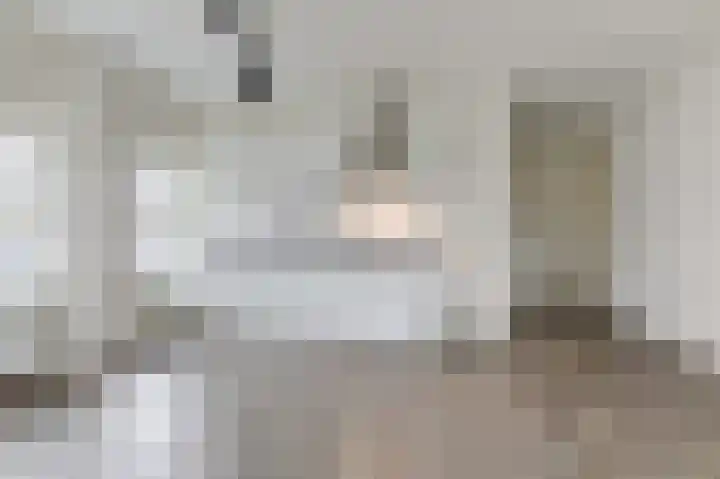 de Veentjes 15 D Doetinchem thumbnail 25