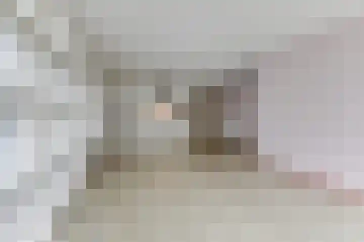 de Veentjes 15 H Doetinchem thumbnail 30