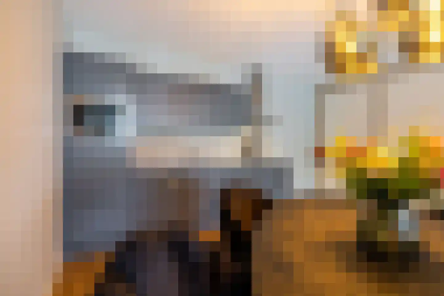 de Veentjes 16 Doetinchem thumbnail 11