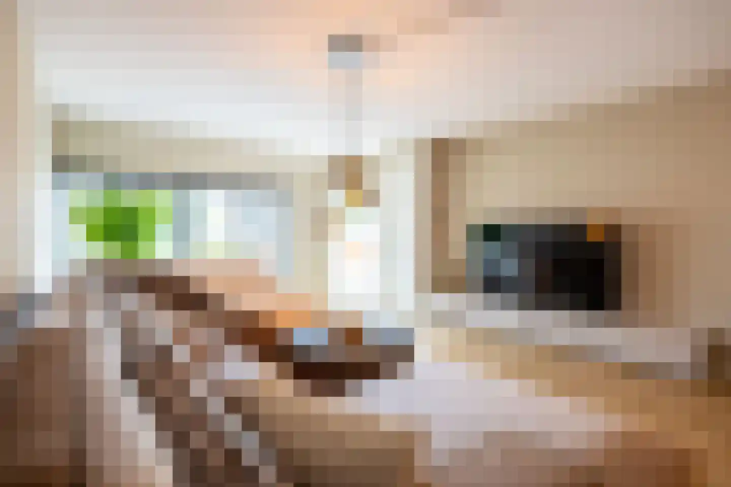 de Veentjes 16 Doetinchem thumbnail 4