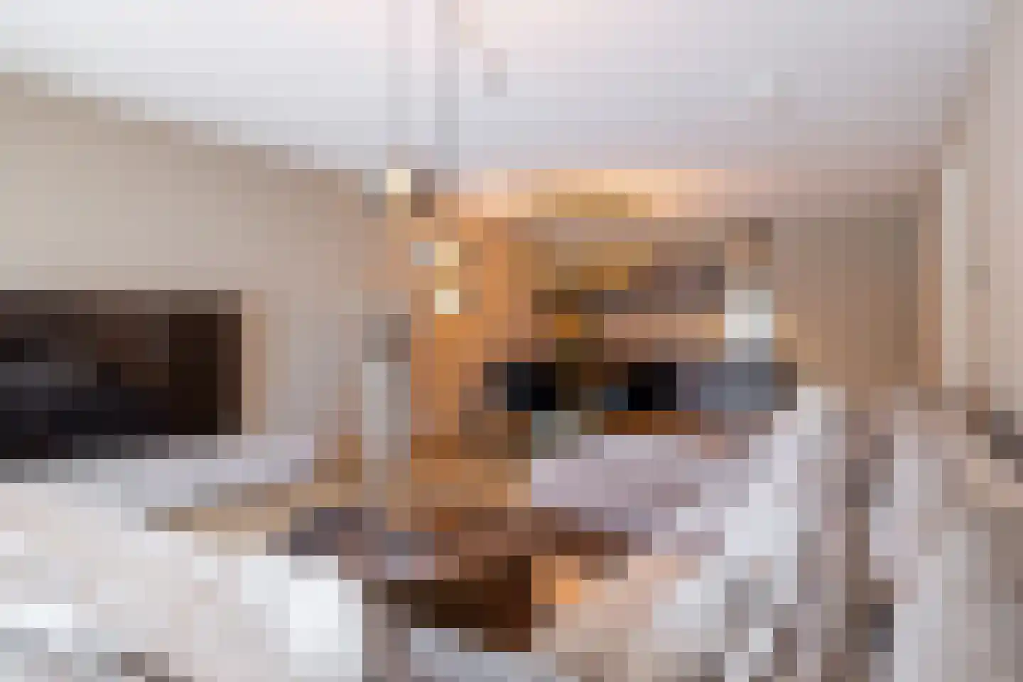 de Veentjes 16 Doetinchem thumbnail 5