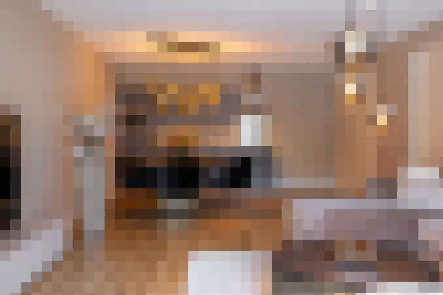 de Veentjes 16 Doetinchem thumbnail 7