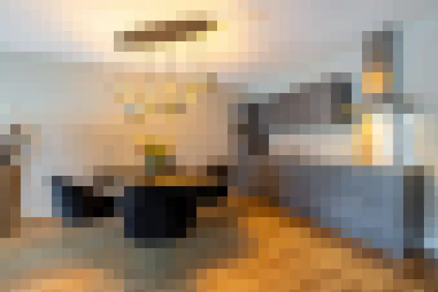 de Veentjes 16 Doetinchem thumbnail 9