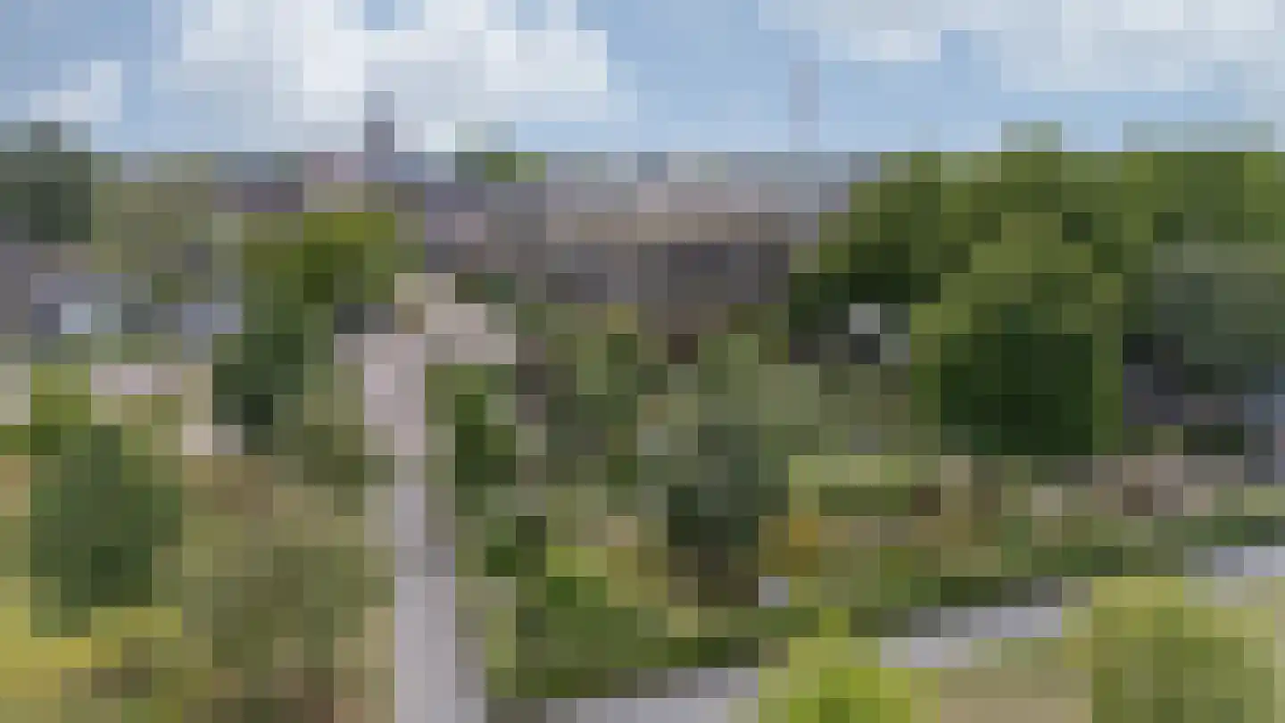 de Veentjes 17 A Doetinchem thumbnail 34