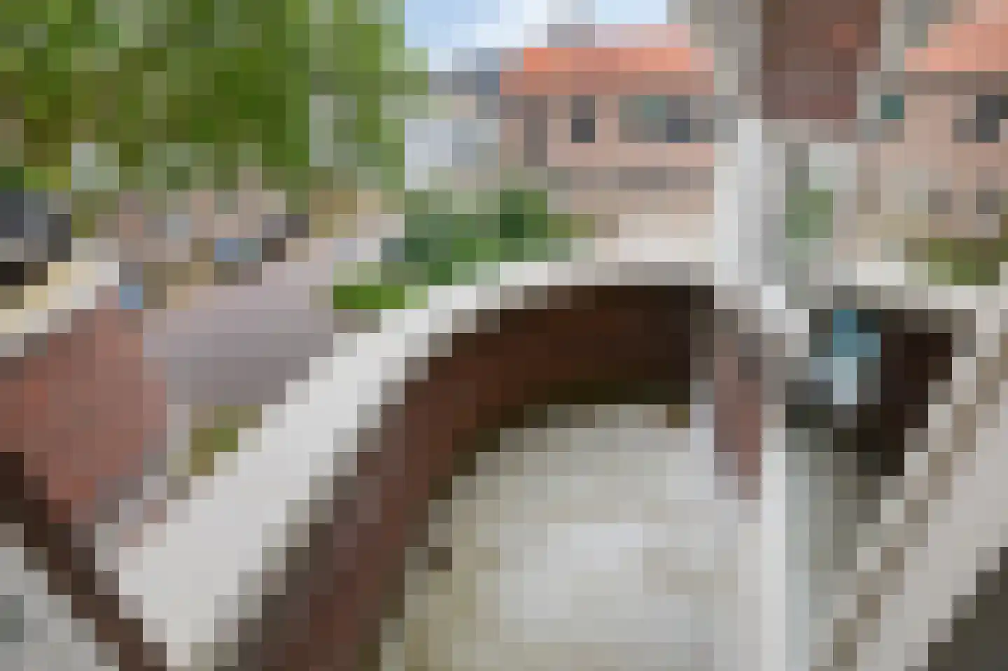 de Veentjes 17 G Doetinchem thumbnail 31