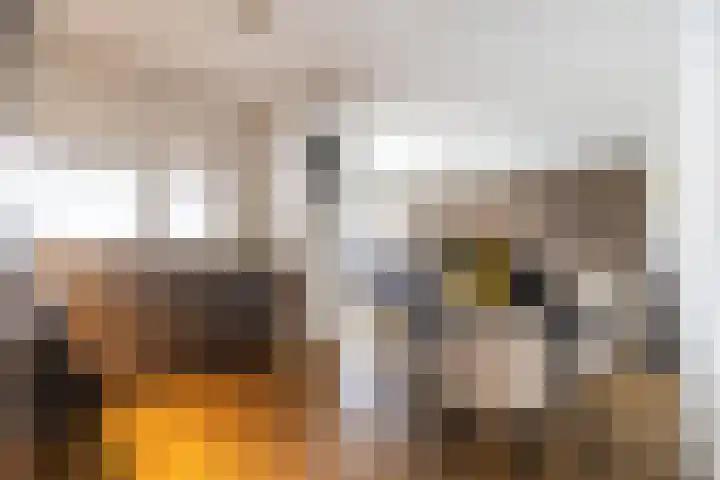 de Veentjes 18 Doetinchem thumbnail 11