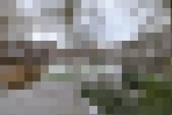de Veentjes 18 Doetinchem thumbnail 20