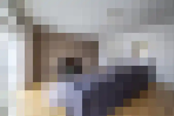 de Veentjes 18 Doetinchem thumbnail 4