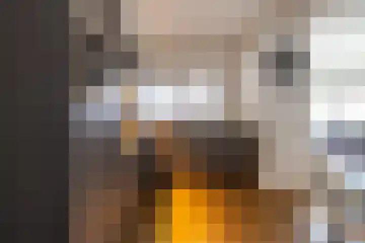 de Veentjes 18 Doetinchem thumbnail 9