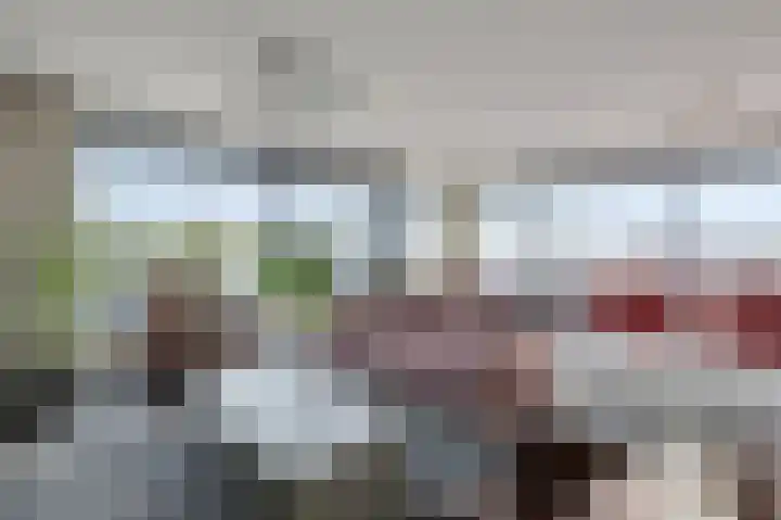 de Veentjes 21 B Doetinchem thumbnail 18