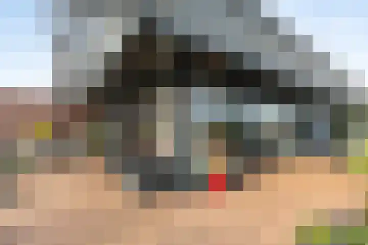 de Veentjes 21 B Doetinchem thumbnail 33