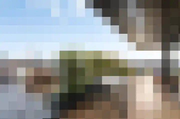 de Veentjes 21 B Doetinchem thumbnail 36