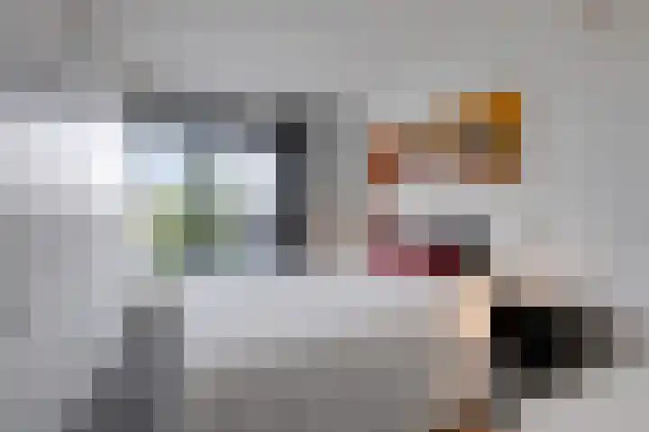 de Veentjes 21 B Doetinchem thumbnail 37